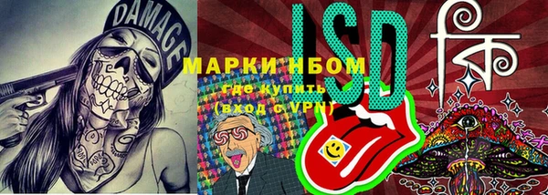 тгк Дмитров