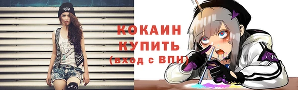 тгк Дмитров