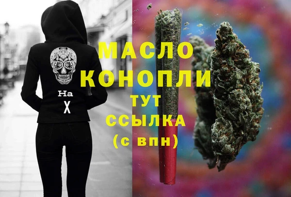 тгк Дмитров