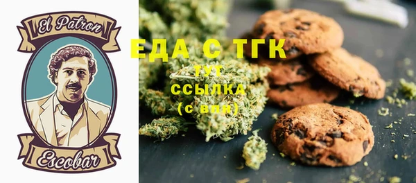 тгк Дмитров