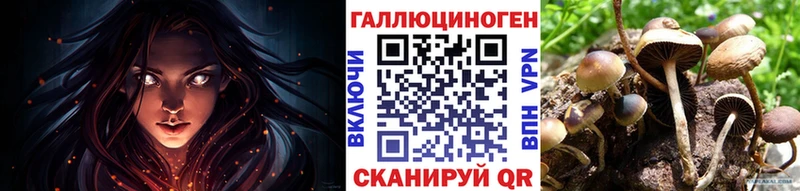 Псилоцибиновые грибы Psilocybine cubensis  Выборг 