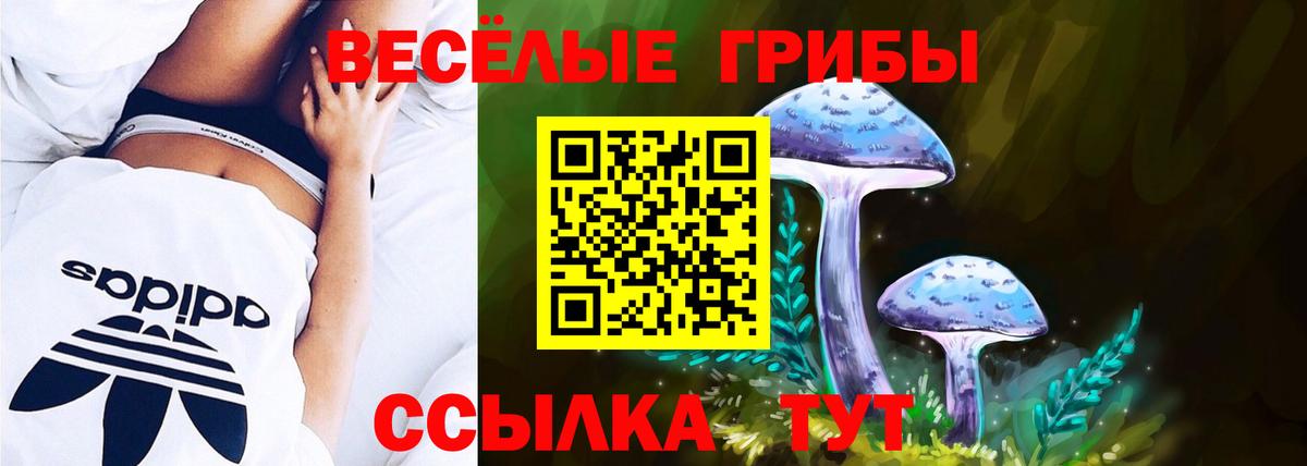 Галлюциногенные грибы ЛСД  Выборг 