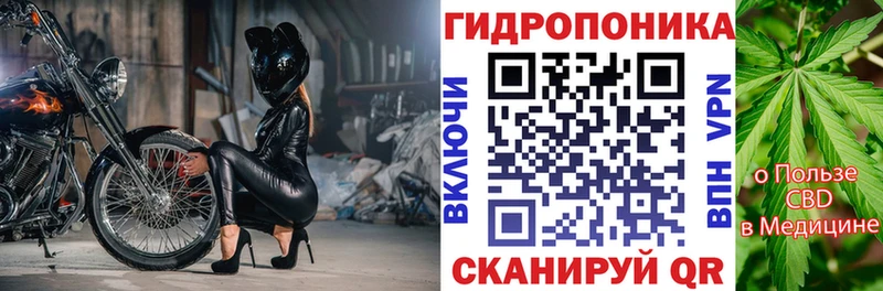 Бошки марихуана Amnesia  Выборг 