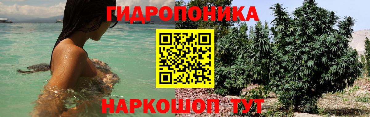 Шишки марихуана SATIVA & INDICA  Вход с VPN  Каннабис White Widow  Выборг  Канабис THC 21% 
